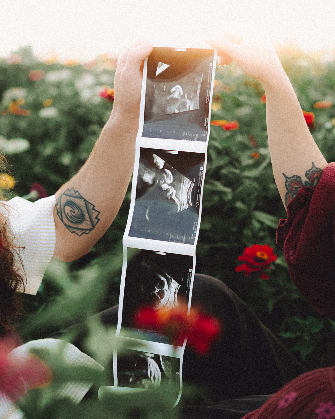 Lovestory Pregnancy Announcement Among the Sunflowers of the Wooden Shoe Tulip Farm — photograph 39 of 39